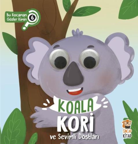 Bu Kocaman Gözler Kimin 6 Koala Kori ve Sevimli Dostları