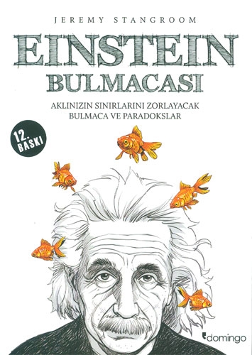 Einstein Bulmacası 1